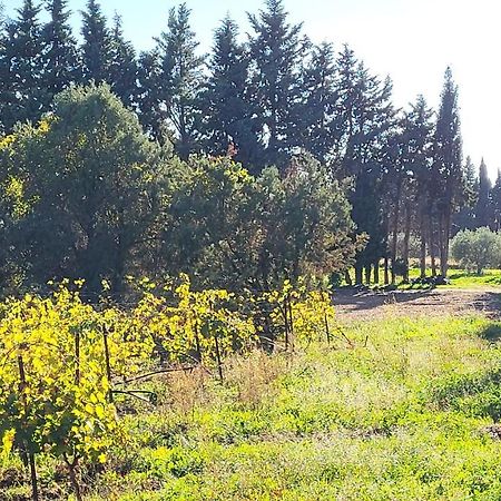 Maison Village Vacances Demeures Du Ventoux أوبيغنان المظهر الخارجي الصورة