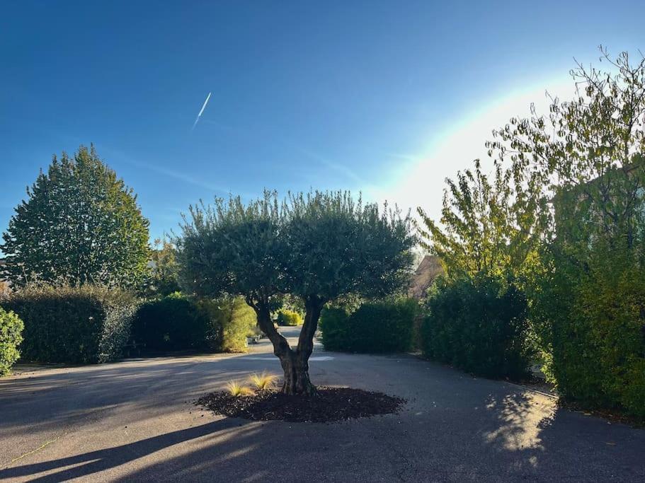 Maison Village Vacances Demeures Du Ventoux أوبيغنان المظهر الخارجي الصورة