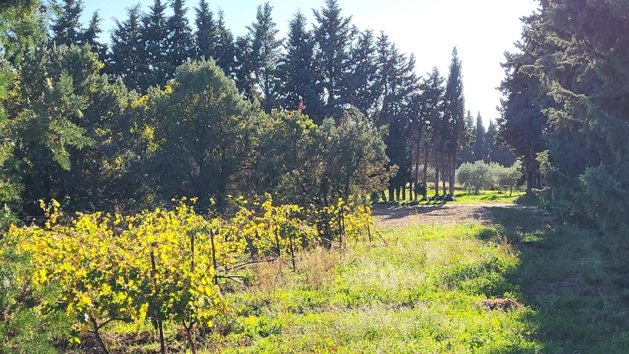 Maison Village Vacances Demeures Du Ventoux أوبيغنان المظهر الخارجي الصورة